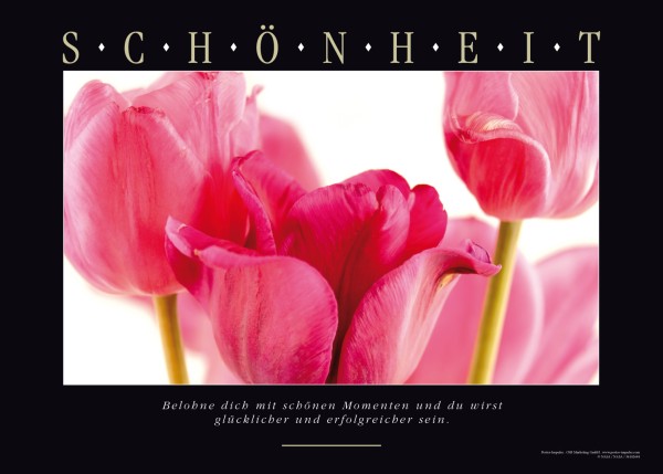 Blumenbild mit Tulpen und Titel Schönheit